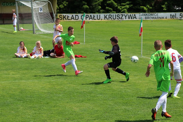Pukki