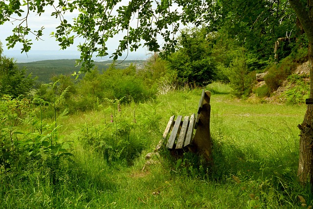备受推崇 备受推崇