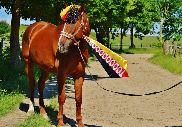 现代商业环 现代商业环