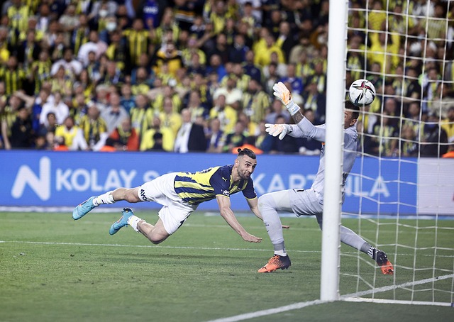 议的吹罚判 议的吹罚判