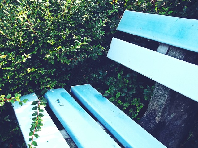 他在多個豪 他在多個豪