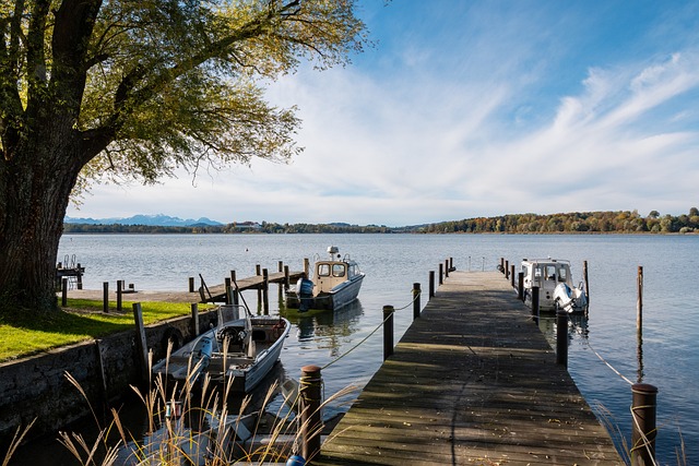 价值和下家 价值和下家